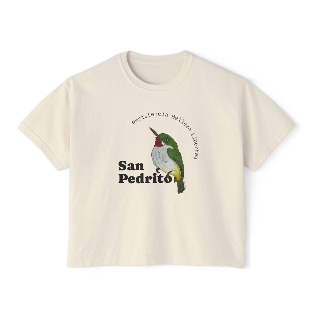 San Pedrito Hummingbird Boxy Tee — Botanical Vintage Bird Graphic Tee