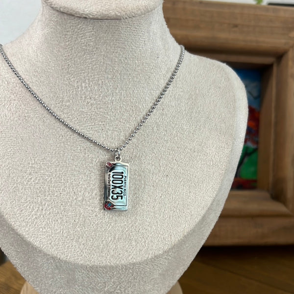 100x35 Silver neckless