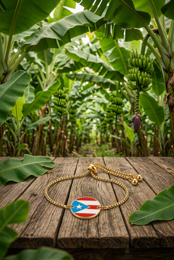 Pulsera Bandera Circulo dorada