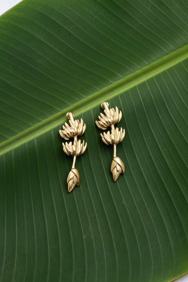 Goodness Plátano gold