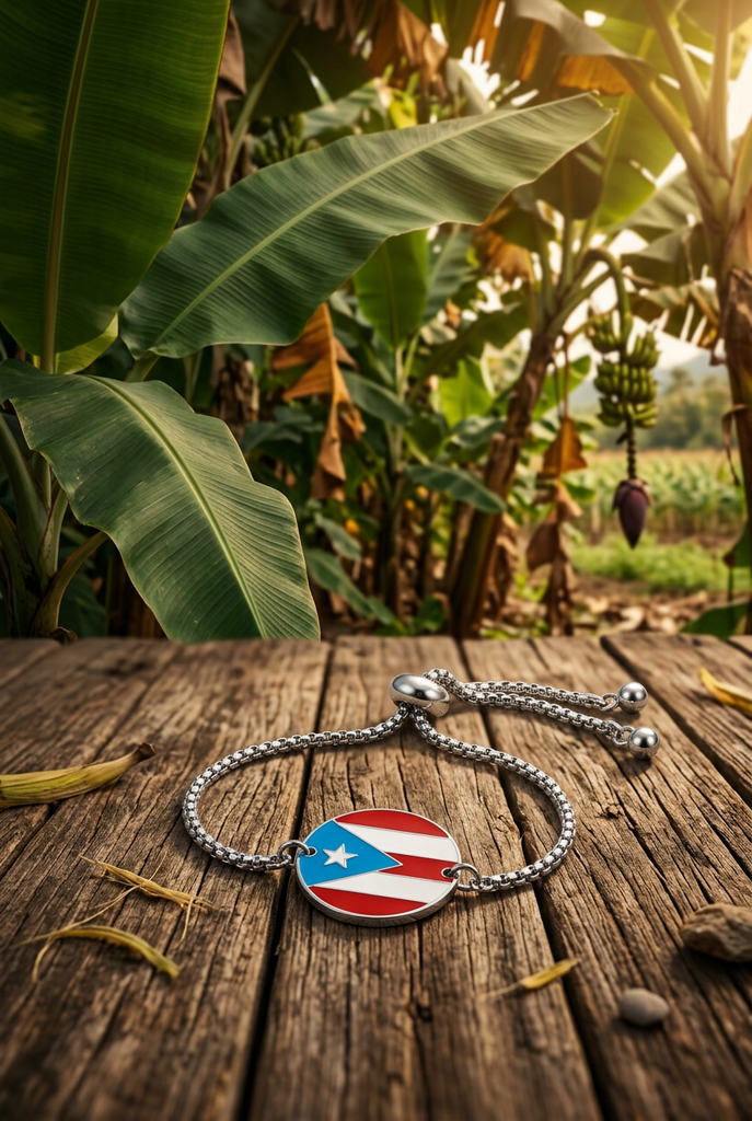 Pulsera Bandera Circulo plateada