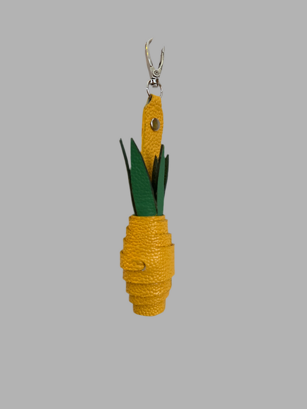 Pineapple for bag