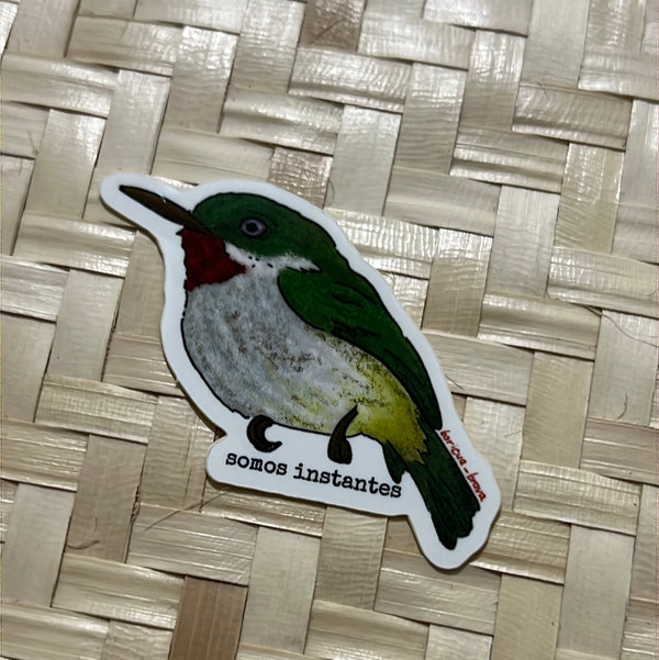 Somos instantes sticker