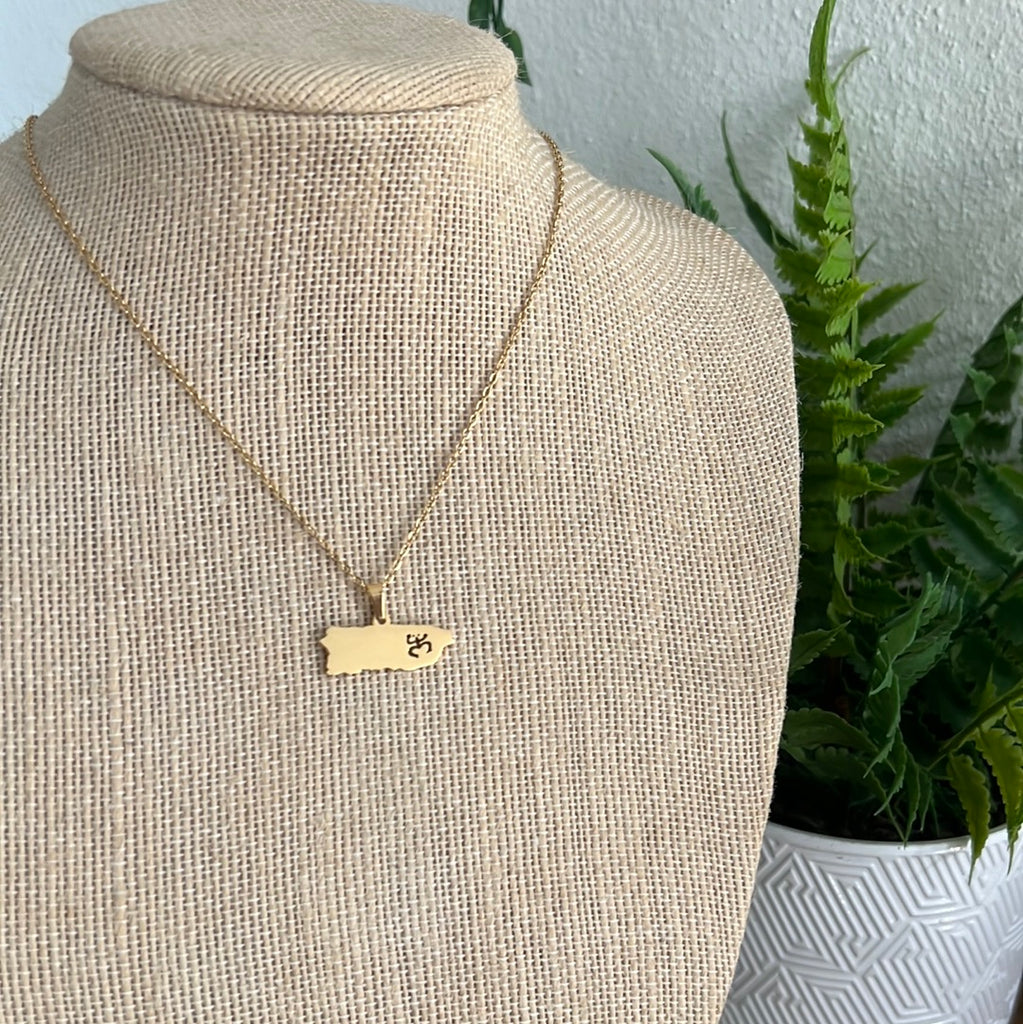 Mapa Coquí taino dorado